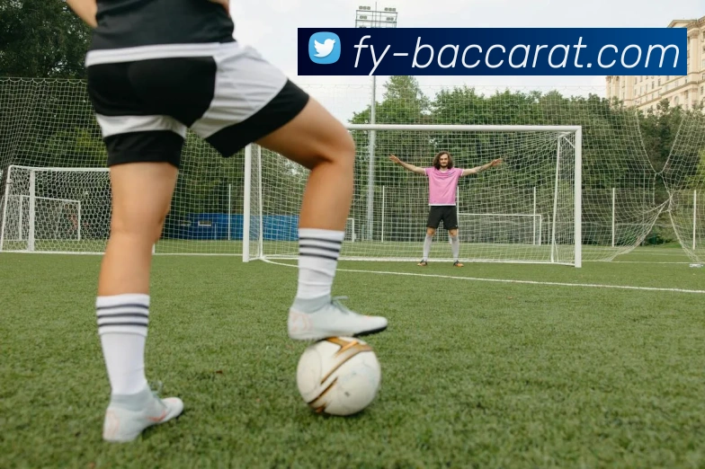 百家乐官网平台生态图